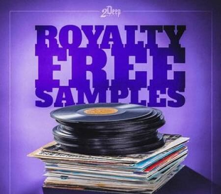 2DEEP Royalty Free Samples Volume 6 WAV